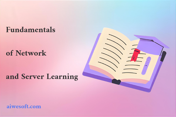 Fundamentals of Network and Server Learning
